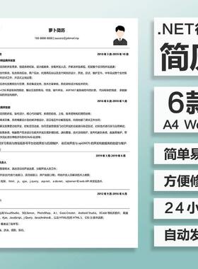 W123黑白简约互联网IT程序员.NET行业word个人求职一页纸简历模板