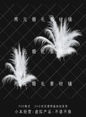 A0257婚礼效果图白色羽毛白色芦苇手绘花艺素材道具psd源文件