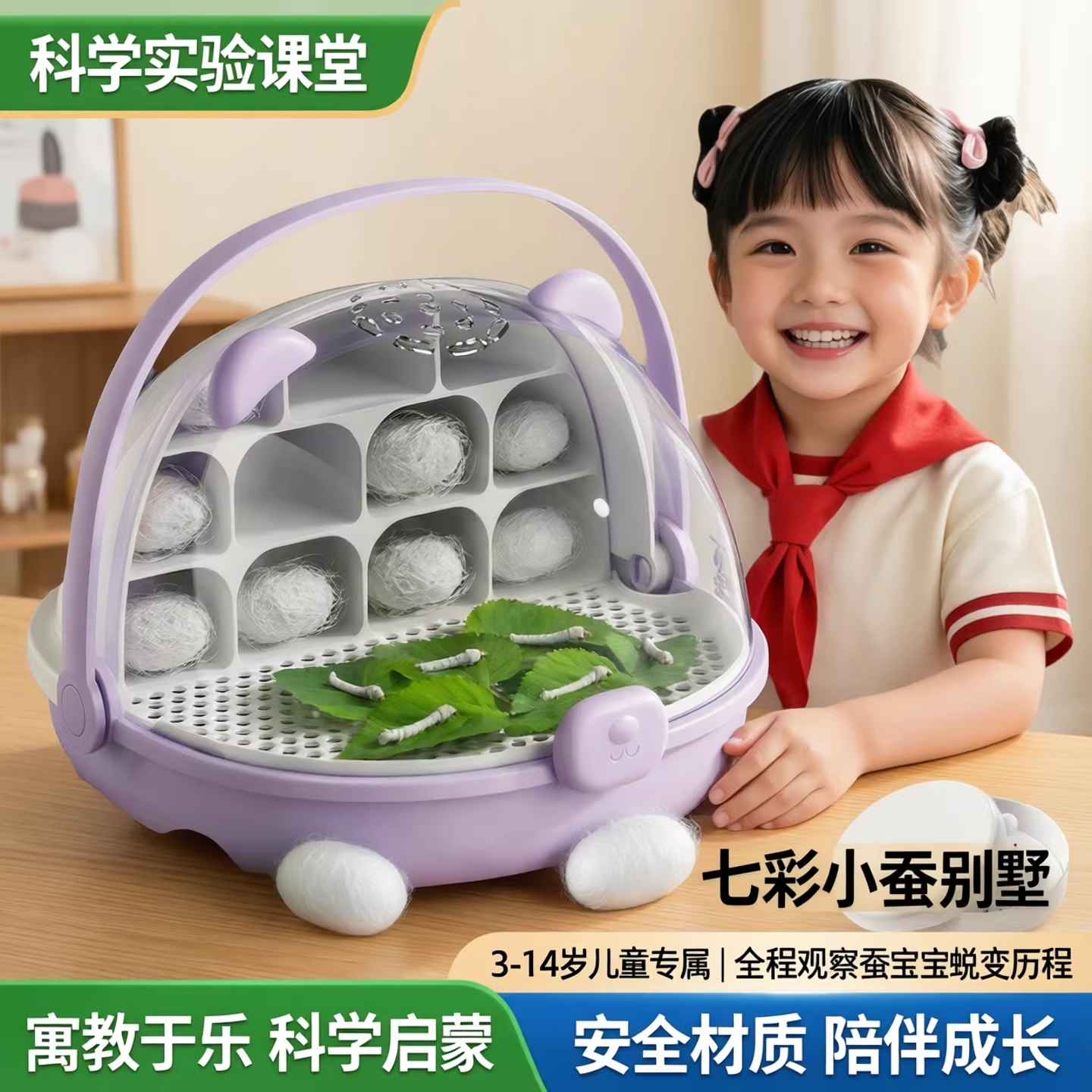 蚕宝宝学生养蚕套装产卵蚕卵幼虫培育饲养盒彩色一二三龄鲜活小蚕