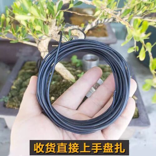 盆景造型专用铝丝园艺花卉植物黑铝条丝线工具蟠扎罗汉松定型铝线