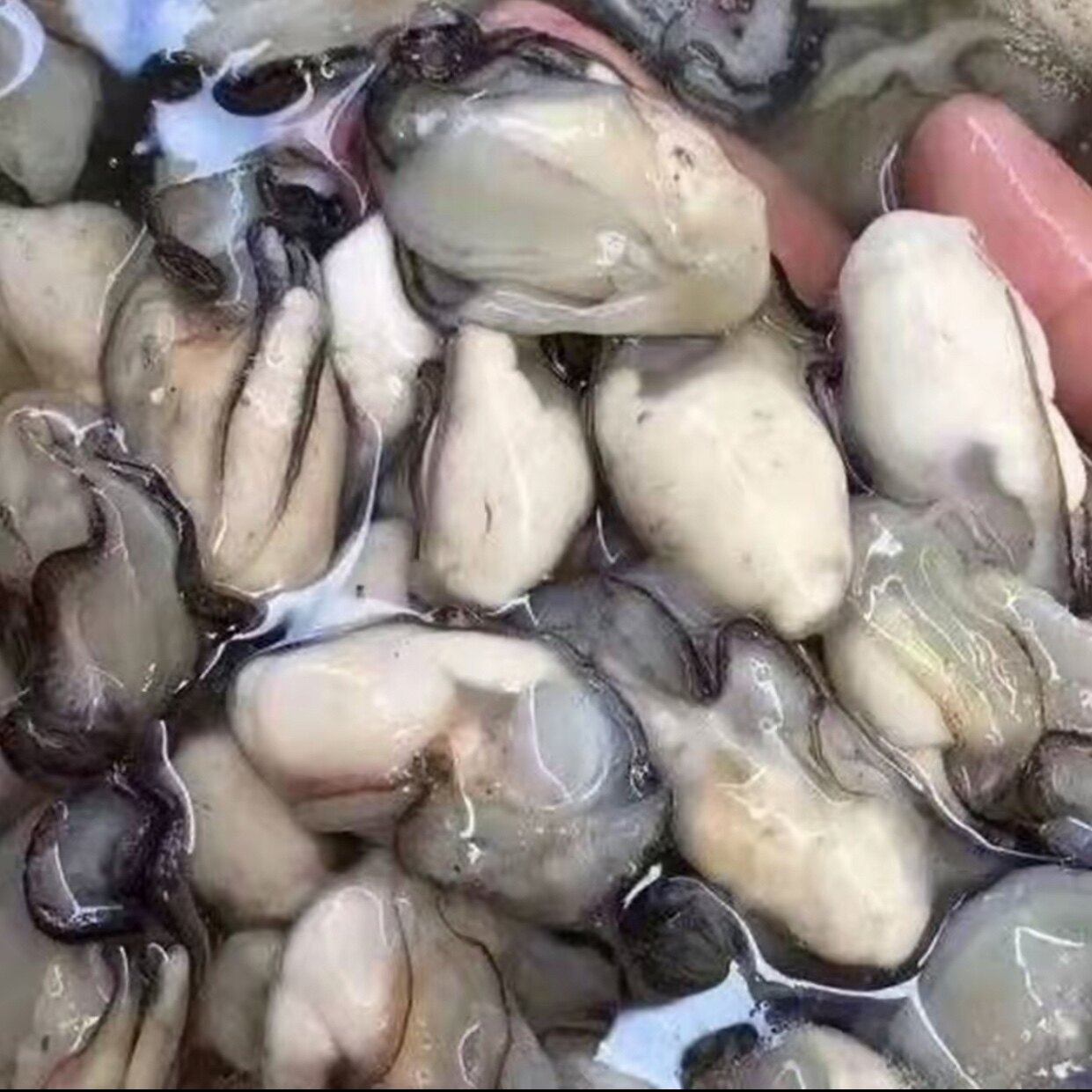 潮汕鲜活现剥去壳生蚝肉1斤包邮