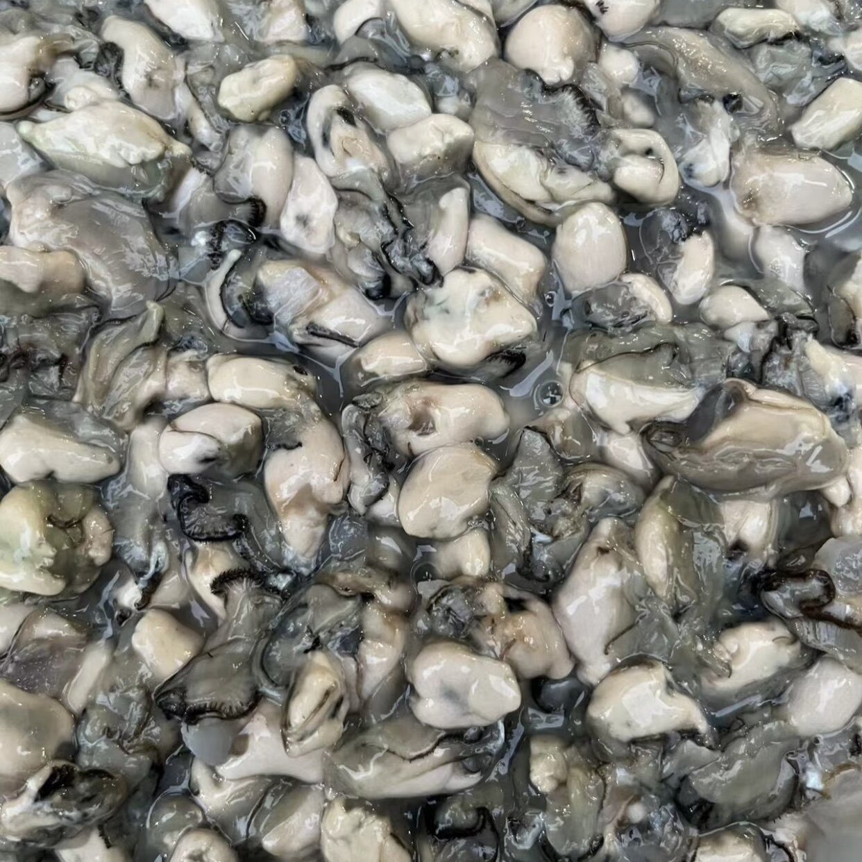 潮汕生蚝肉鲜活现剥新鲜去壳海鲜水产汫洲珍珠蚝小海蛎速冻牡蛎肉