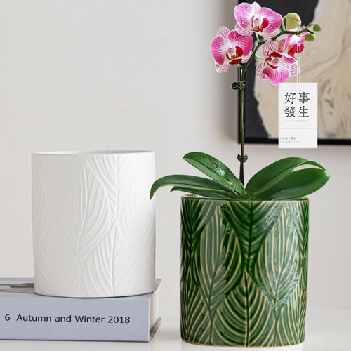 北欧风叶子纹直筒花盆陶瓷简约家用带图片吊兰蝴蝶兰多肉绿植花盆