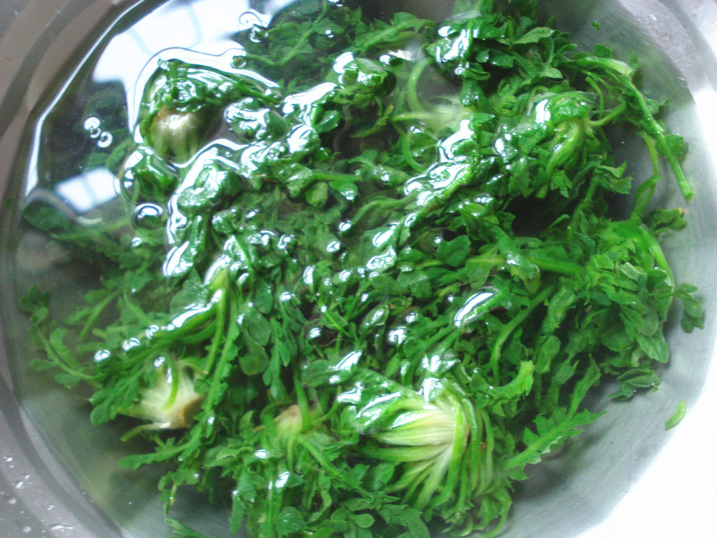 速冻荠菜4斤冷冻新鲜野菜地荠菜馅馄饨饺子馅荠荠菜