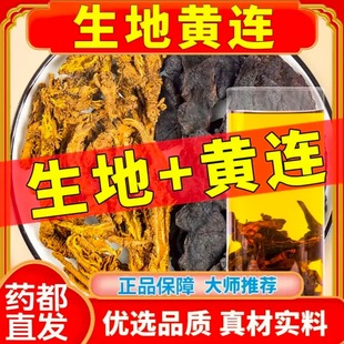 生地黄连组合茶甄选原材正品生地黄和黄连独立包泡茶降皿塘EWAMU