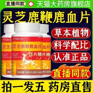 同韵堂灵芝鹿鞭鹿血片官方旗舰店正品 成人用直播药房直售1XB 男士