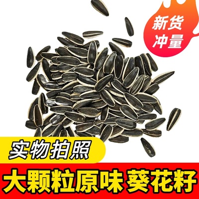 内蒙古特产大颗粒363瓜子