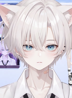 live2d虚拟主播成品公皮白发猫男抖音直播虚拟形象设计虚拟主播