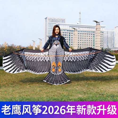【霸气高飞雄鹰】前杆钢鹰大风筝