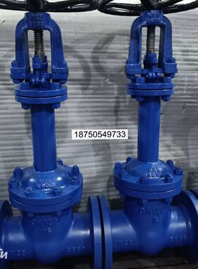 DZ41H/W/Y-16P/25PRL-DN50/65不锈钢闸阀 德标美标低温波纹管闸阀