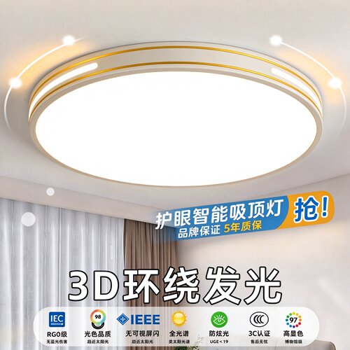 客厅灯吸顶灯led卧室灯餐厅灯阳台灯新款双金线灯具厨房玄关走廊