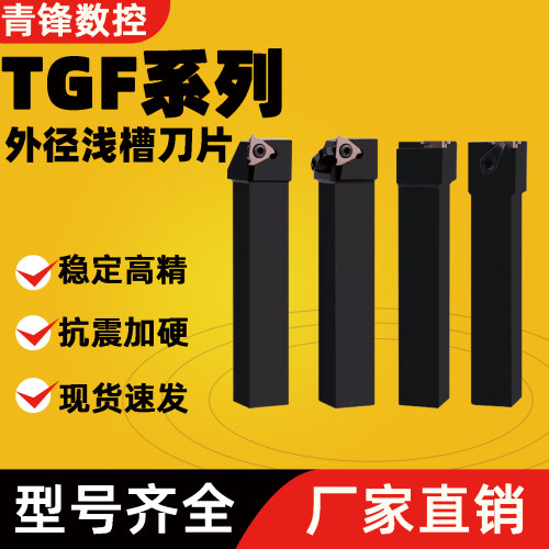 KTGFRKTGFSLCTGFRCTGFSL2525M16
