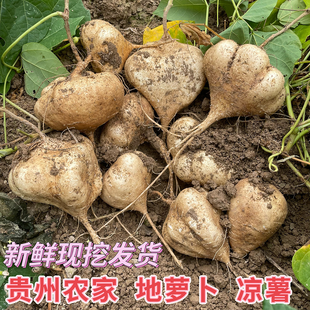 贵州土特产新鲜现挖现发即食番薯白心地萝卜凉薯地瓜鲜果500g包邮 水产肉类/新鲜蔬果/熟食 番薯 原图主图