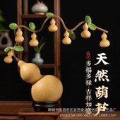 大葫芦天然葫芦发财树家居装 饰客厅玄关摆件娃一根藤上结七个葫芦