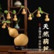 大葫芦天然葫芦发财树家居装 饰客厅玄关摆件娃一根藤上结七个葫芦