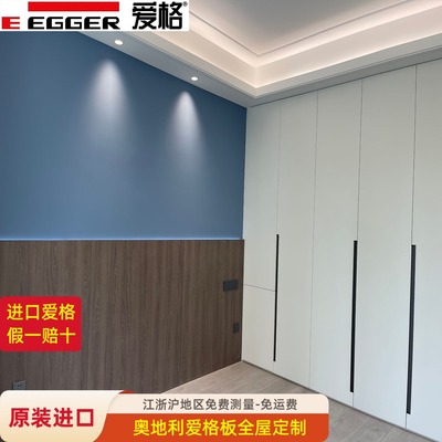 原装进口爱格板全屋定制衣柜门板定做橱柜门板PET欧松板ENF护墙板