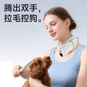 宠物吹毛烘干机大功率静音家用狗狗吹风机中大型犬猫咪小型吹水机