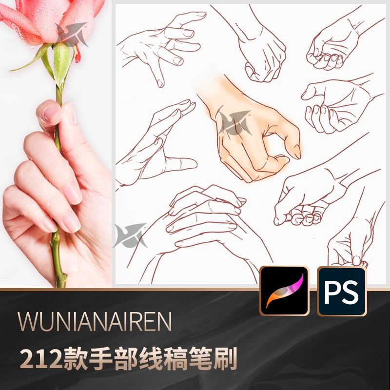 procreate笔刷 ps笔刷手部结构线稿握拳牵手合掌等手势大全素材图