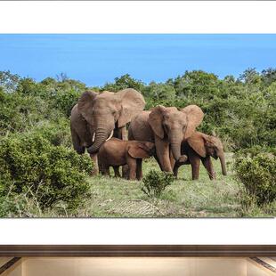 吉象招财旺宅旺业大象装饰画野象象群民宿酒店旅馆海报壁画自粘画