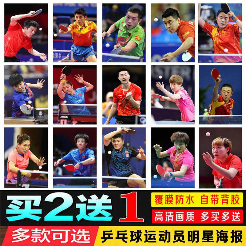 新乒乓球明星贴画樊振东张继科马龙丁宁刘国梁体育运动员装饰海报