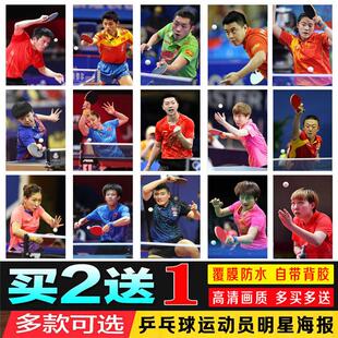 新乒乓球明星贴画樊振东张继科马龙丁宁刘国梁体育运动员装饰海报