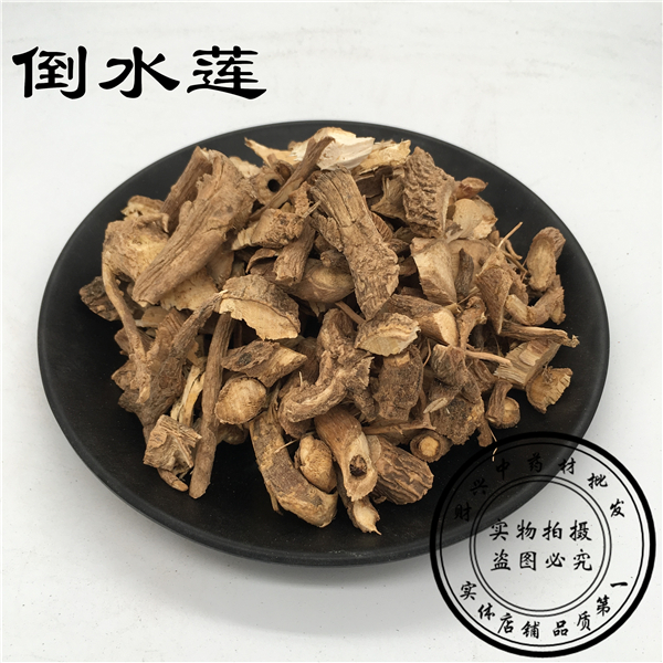 野生 倒吊黄根 黄花倒水莲 黄花大远志观音串倒吊王500g 包邮