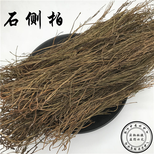 独家货源石侧柏 石刷把 松叶兰 铁石松 铁刷把 石寄生 竹寄生250g