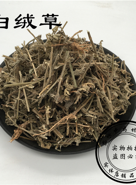 野生白绒草 白花茶匙红 白花塔仔草 万毒虎 北风草 500g 2斤包邮