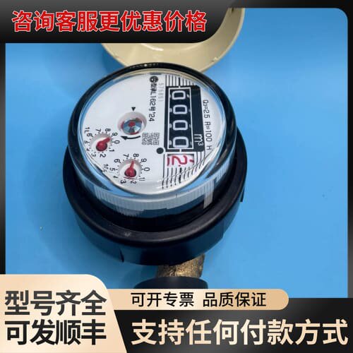 议价一特水表 L162号24型 Q3=2.5 R=100H可维修