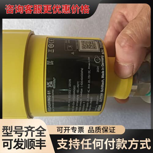 议价德国VEGA威格VEGASWING 61，型号SWING61可维修