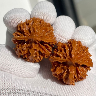 菊花大灯笼麻核桃型正配对好陕西秦岭文玩粗筋矮桩手把件元宝铁球