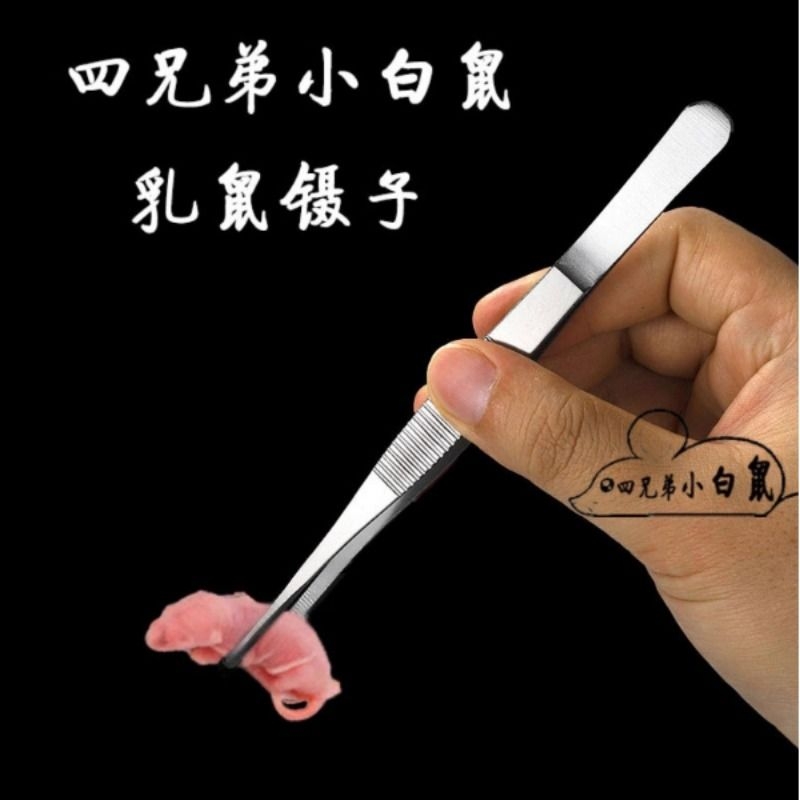 灭菌红皮乳鼠独立包装冷冻冰冻小白鼠喂蛇冻鼠喂猫宠物蛇角蛙饲料