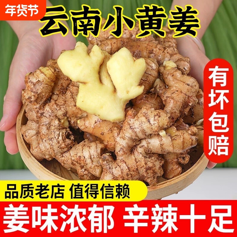 云南小黄姜新鲜老姜生姜现挖高山沙姜种子蔬菜9斤食用自种年货节