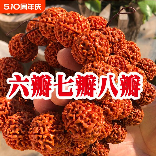 印尼大金刚菩提手串落地红爆肉