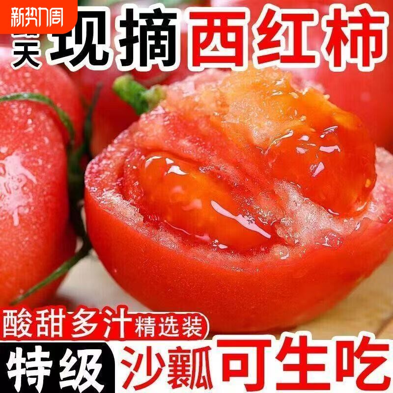 正宗云南沙瓤西红柿老品种可生吃现摘自然熟番茄应季老人儿童蔬菜