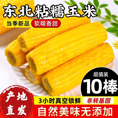 东北黄糯玉米10根/8根真空包装
