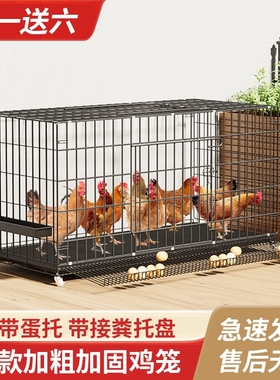 鸡笼子家用养殖笼下蛋养鸡笼自动滚蛋大号特大号鸡窝鸡舍折叠鸡笼