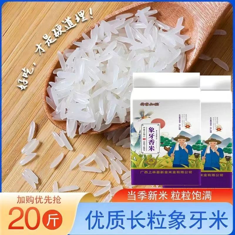 甄享猫牙上林县高山长粒米长粒香2025年新米大米便宜丝苗米饭优质