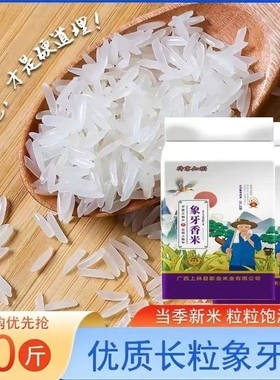 甄享猫牙上林县高山长粒米长粒香2025年新米大米便宜丝苗象牙米