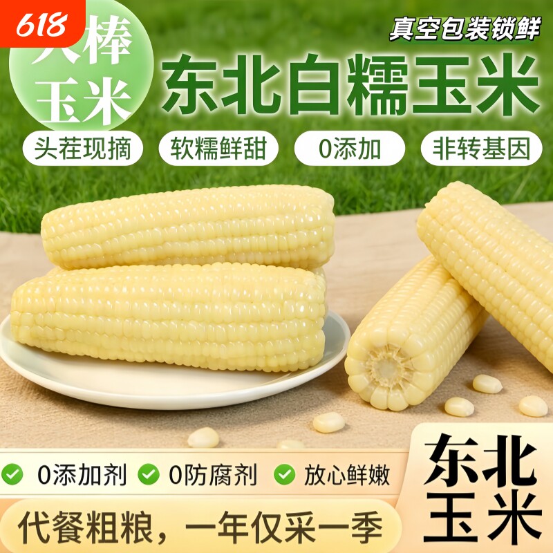 东北白糯玉米甜嫩真空独立包装新玉米粘糯新鲜玉米棒苞米加热即食