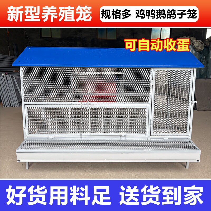 鸡笼子家用室外防雨自动收蛋防啄防黄鼠防鼠加厚不锈下蛋养殖笼图片