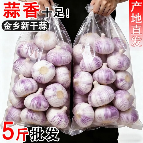 山东金乡大蒜头干蒜5斤装十足干