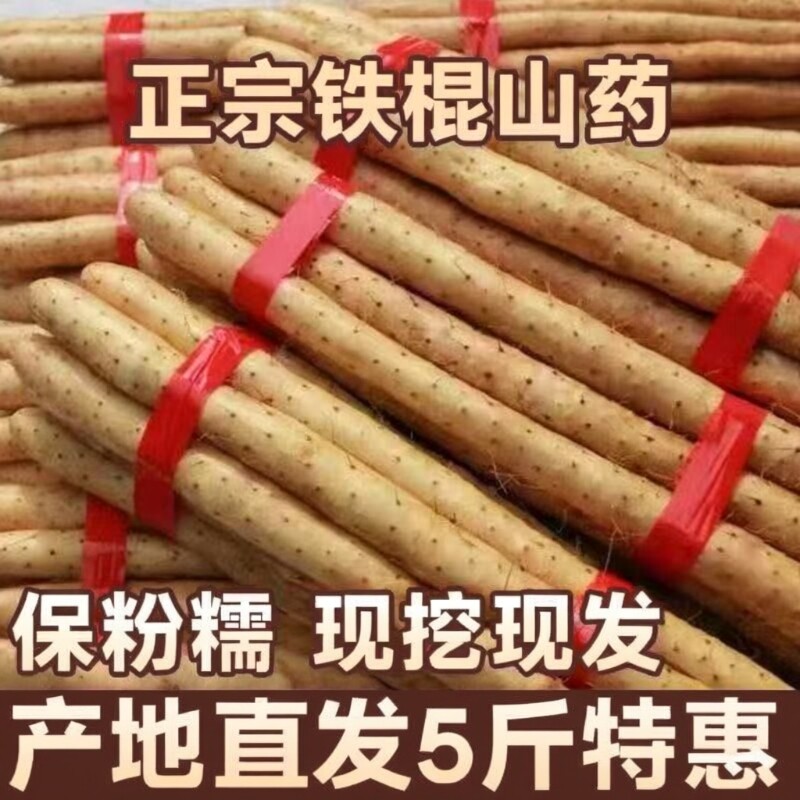 铁棍山药正宗新鲜铁杆怀山淮山药现挖小白嘴山药非温县垆土铁棍