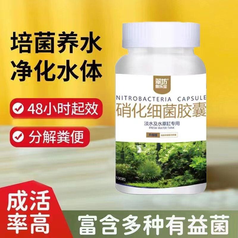 硝化细菌鱼缸净水剂净水菌净化水质除氨氮养鱼专用菌粉胶囊活性