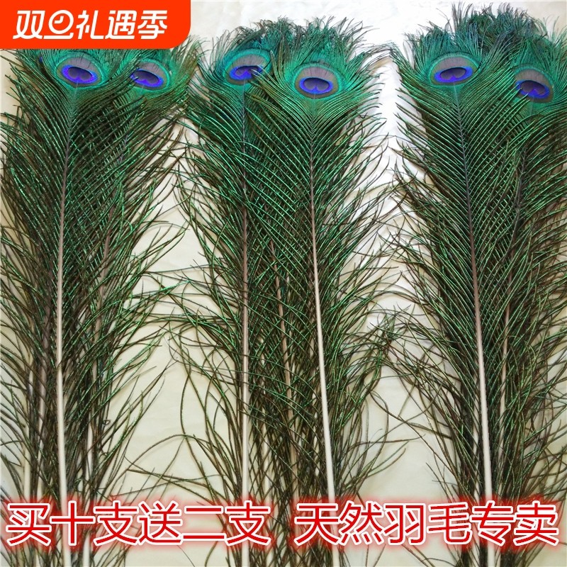 家居饰品摆件孔雀羽毛纯天然真孔雀毛花瓶装饰品孔雀翎尾婚庆艺术