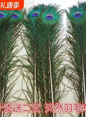 家居饰品摆件孔雀羽毛纯天然真孔雀毛花瓶装饰品孔雀翎尾婚庆艺术