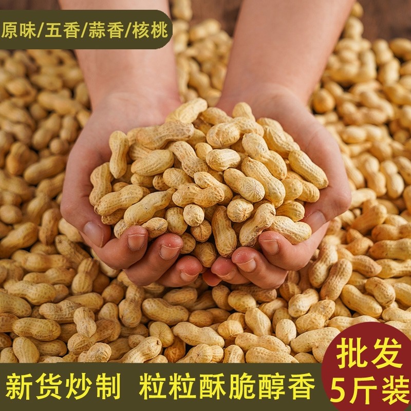新货新炒正宗东北红崖子红皮花生原味蒜香五香花生炒货大袋批发