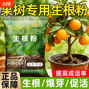 果树专用生根粉植物移栽扦插通用肥料树木花卉兰花多肉生根肥土壤