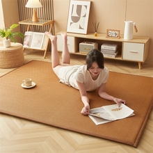 藤席地垫床垫软垫家用客厅卧室地毯凉席冰丝席子双面可定制方块