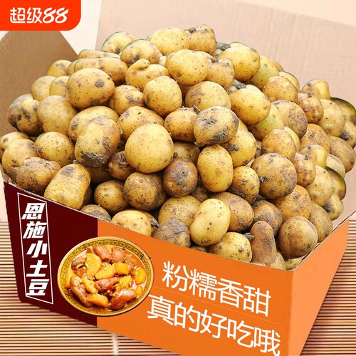 新鲜小土豆高山现挖农家自种